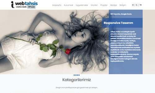 web tasarım apollon